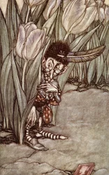"Kun hän kuuli Peterin äänen, hän poksahti hätääntyneenä tulppaanin taakse", J. M. Barrien (1860-1937) teoksesta "Peter Pan Kensington Gardensissa", julkaistu vuonna 1910